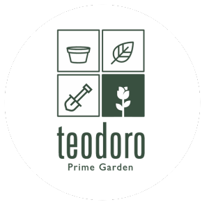 Teodoro Prime