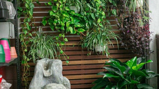 Painel jardim