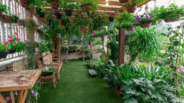 garden