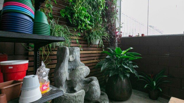 vasos floricultura