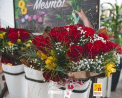 ROSAS