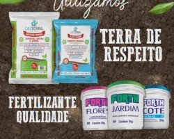FERTILIZANTES